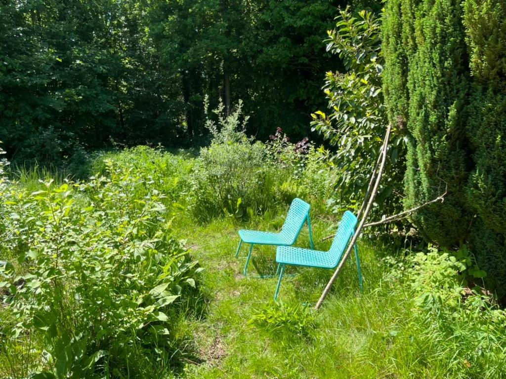Hoeve Veganza B&B Vlagtwedde Luaran gambar