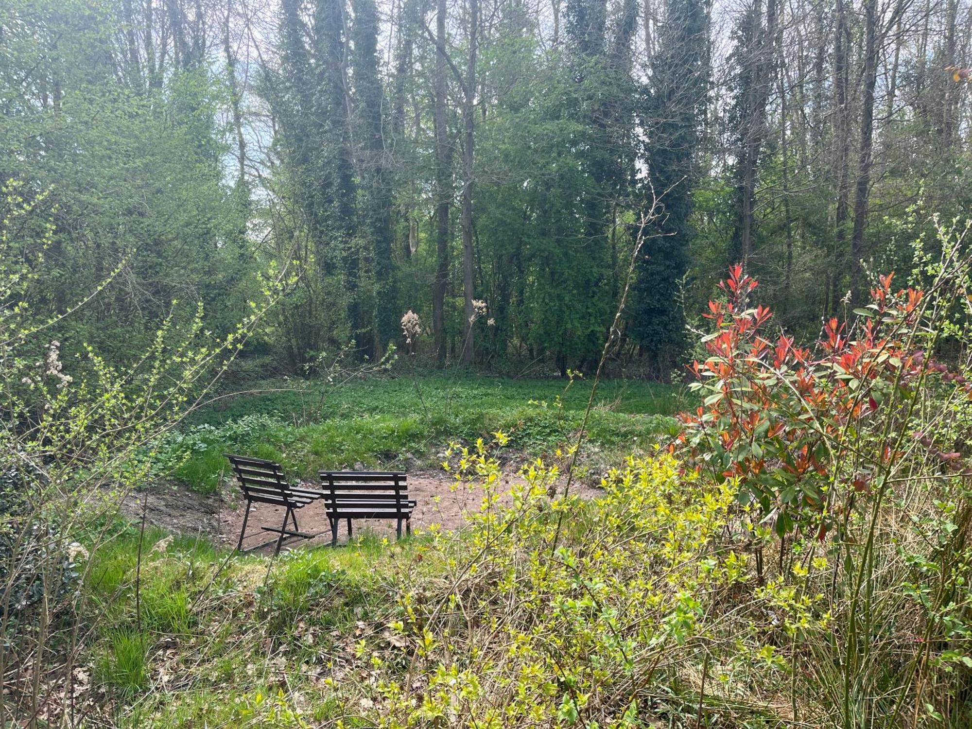 Hoeve Veganza B&B Vlagtwedde Luaran gambar