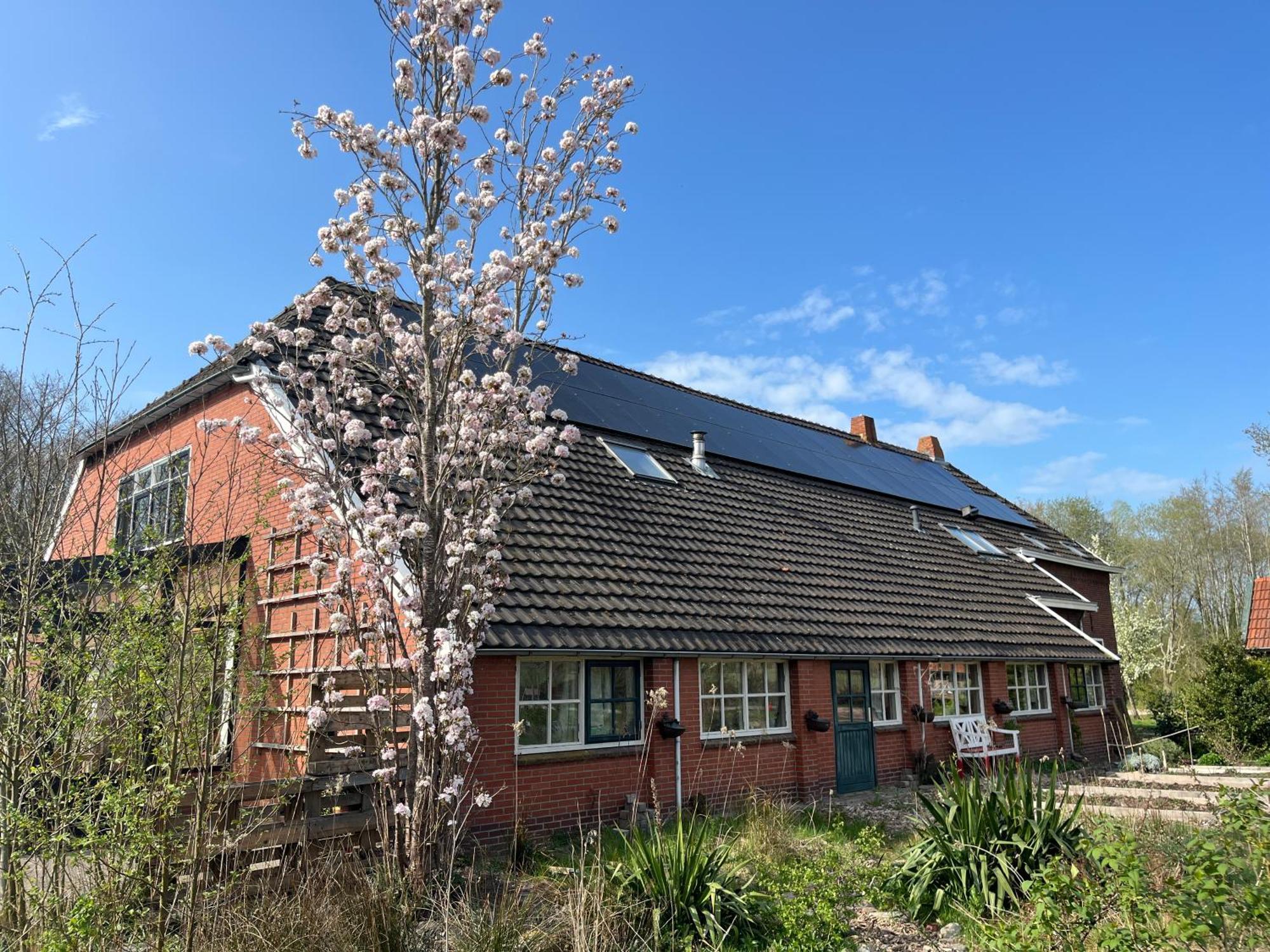 Hoeve Veganza B&B Vlagtwedde Luaran gambar