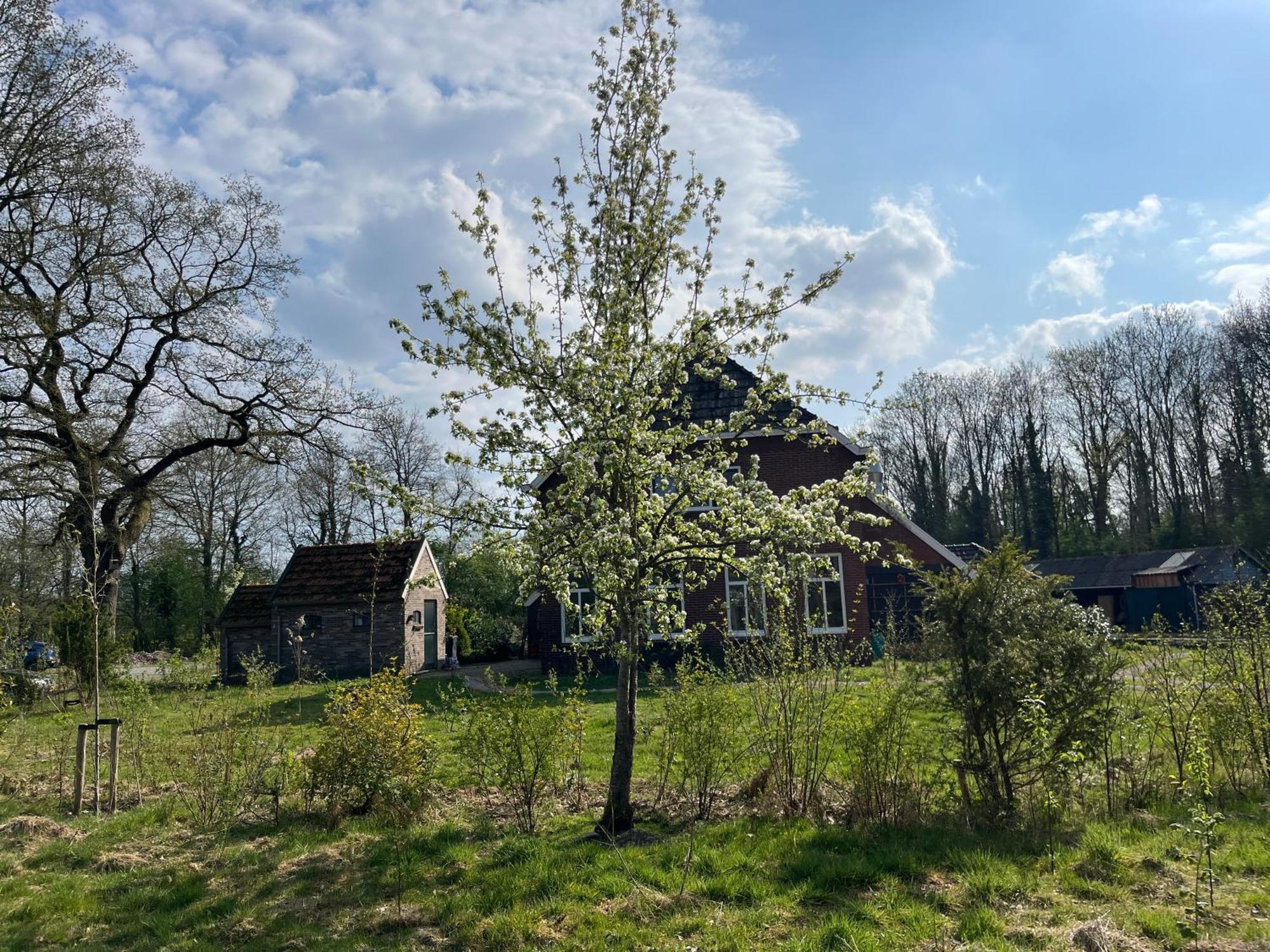 Hoeve Veganza B&B Vlagtwedde Luaran gambar
